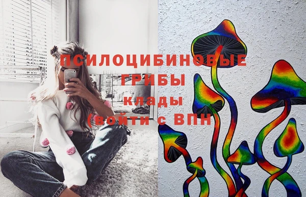 хмурый Абинск
