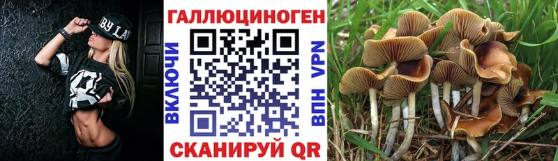 как найти закладки Стрежевой Галлюциногенные грибы Magic Shrooms
